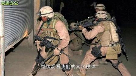 广军爆料白鲨视频,揭秘背后惊人真相  第3张